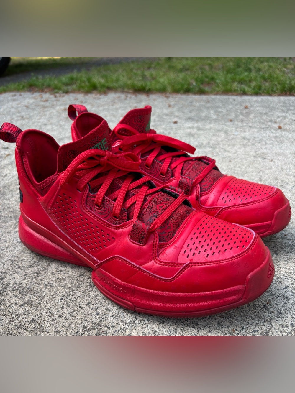 Adidas D Lillard 1 Florist City Rose City S85164 Size 11 Damian Lillard